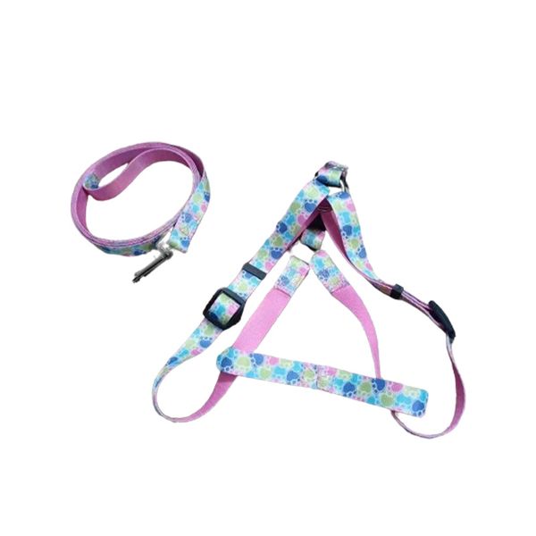 

Strong Pulling Rope Designed Specifically for Rugged Outdoor Use, Multi color