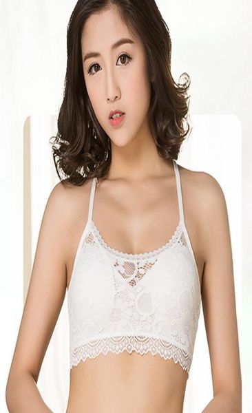

yline strap bra women black white lace bralette women039s underwear underwear padded wireless bra plus size underwear seam2136466