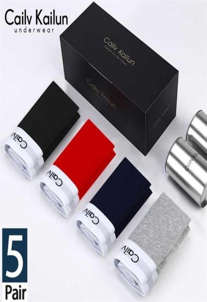 

5pcs cotton men underwear mens solid color panties breathable man briefs large size l 4xl convex pouch for men antibacterial 220101220479, Black;white