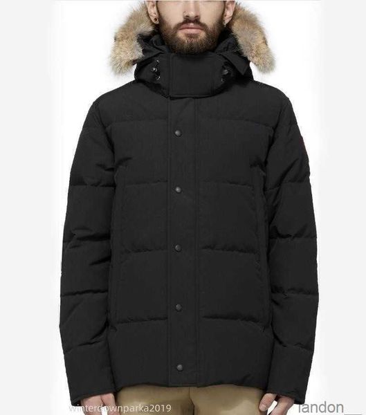 

winter men down jackets real coyote fur designer homme puffer windbreaker jassen outerwear hooded fourrure manteau jacket coat hiver parka d, Black