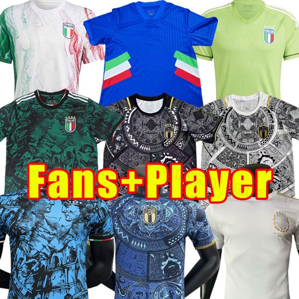 

2023 italy soccer jerseys fans player version maglie da calcio verratti chiesa gnonto football t lorenzo pinamonti politano grifo goalkeeper, Black;yellow