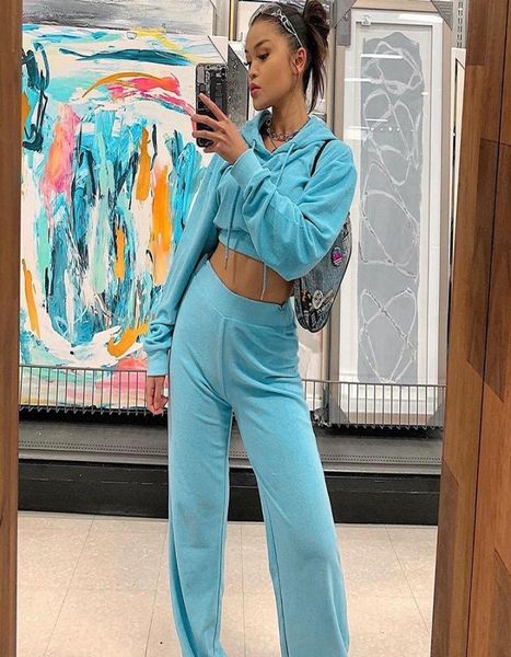 

2019 new fashion casual sporty velvet women two piece set active wear hooded outfit long sleeve crop and pants sets1542255, White