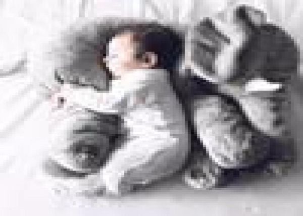 

baby small pillow head protection pillow bedding baby elephant pillows todd7815278