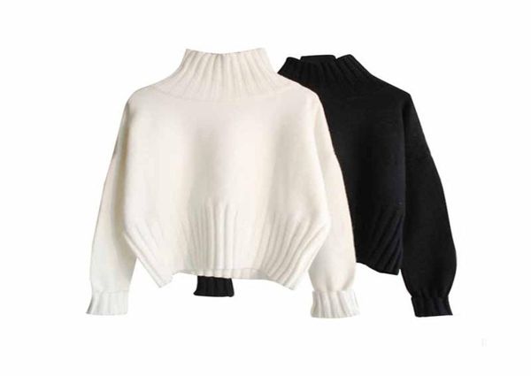 

2021 pullovers knitted long sleeve sweaters women casual slim solid turtleneck coat female soft warm jumper4306025, White;black