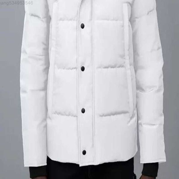 

designer mens fourrure down jackets homme jassen outerwear wolf fur hooded manteau wyndham canada parkas jacket coat hive9w5f, Black