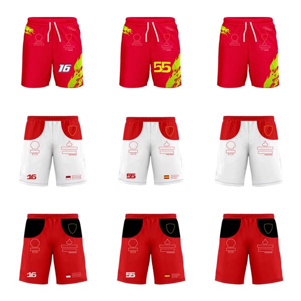 

2023 new f1 team logo shorts formula one team custom shorts extra large