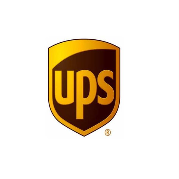 

cost for ups dhl fedex rush order plus size283q, Silver