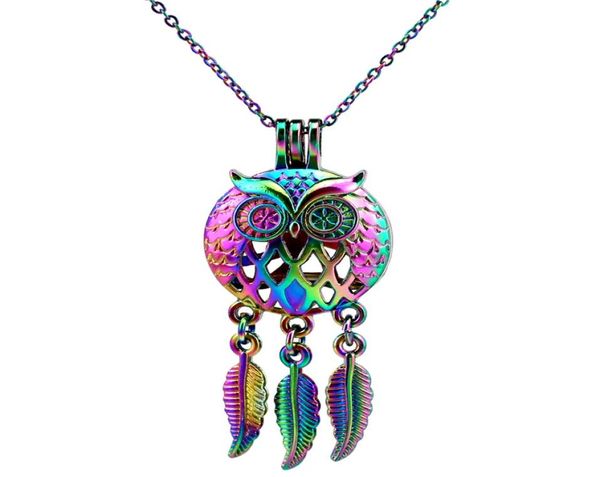 

c707 rainbow color dream catcher owl leaf beads cage pendant essential oil diffuser aromatherapy pearl cage locket pendant necklac7374282, Silver