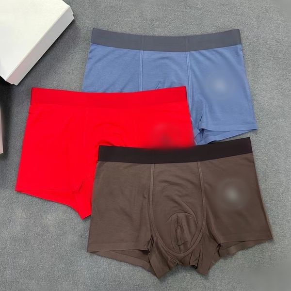

2023 mens designer smooth breathable comfortablefashion underpants classic men casual shorts underwears 3pcs ccallvin kkleinn, Black;white