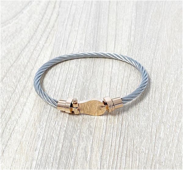

vintage twisted cable opening bangle titanium steel geometric wristband for women fashion charm bracelet jewelry gift with box3103581, Golden;silver