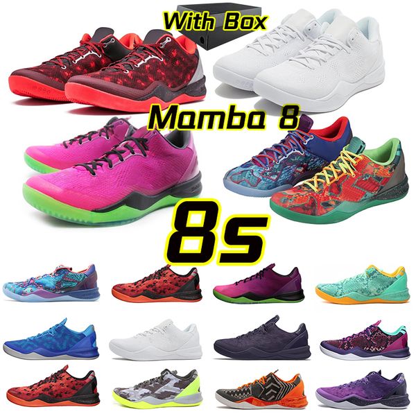 

with box mamba 8 8s basketball shoes think pink kobegrinch white del sol prelude black out chaos outdoor mens sports trainer snakeres pink w