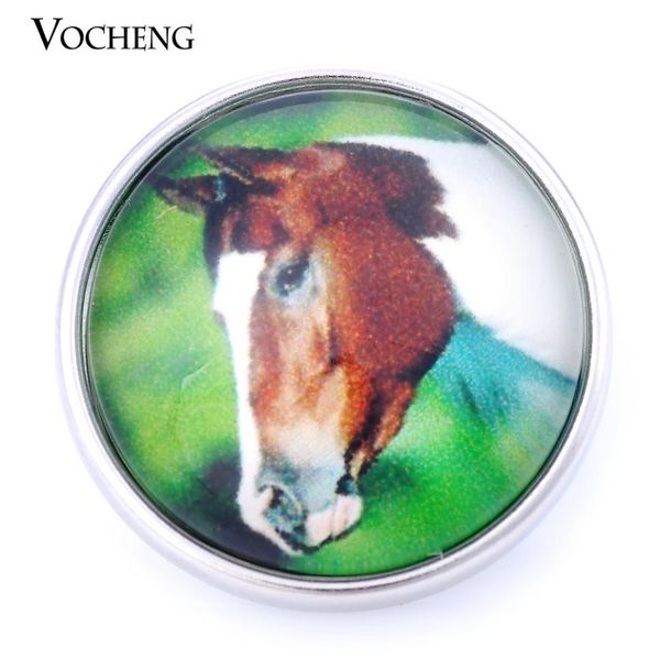 

vocheng noosa 18mm interchangeable jewelry diy glass horse snap button vn9998807805