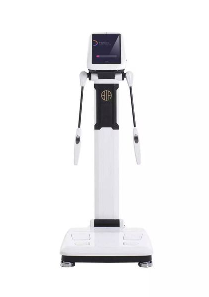 

factory price body weight scales smart body composition analyzer fat biochemical analysis bmi 3d digital scan touch screen machine