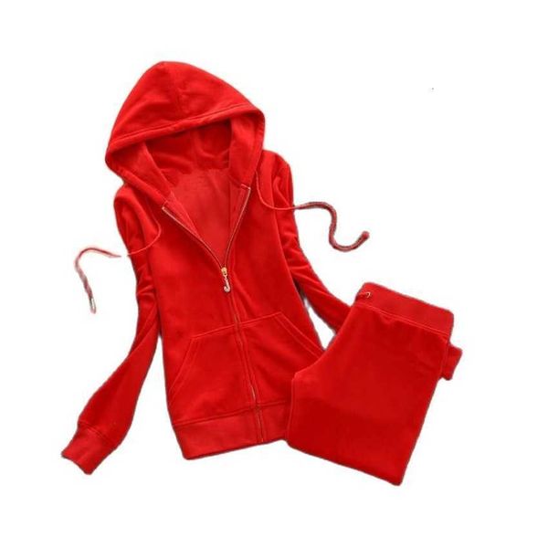 

2023 spring/fall women's brand velvet fabric tracksuits velour suit women track hoodies and pants fat sister sportswear, Gray