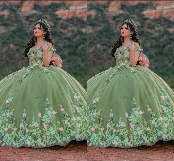 

2023 modest sage green quinceanera dresses pink 3d flowers floral lace applique ball gowns princess sweet 16 girls party graduation dress tu, Blue;red