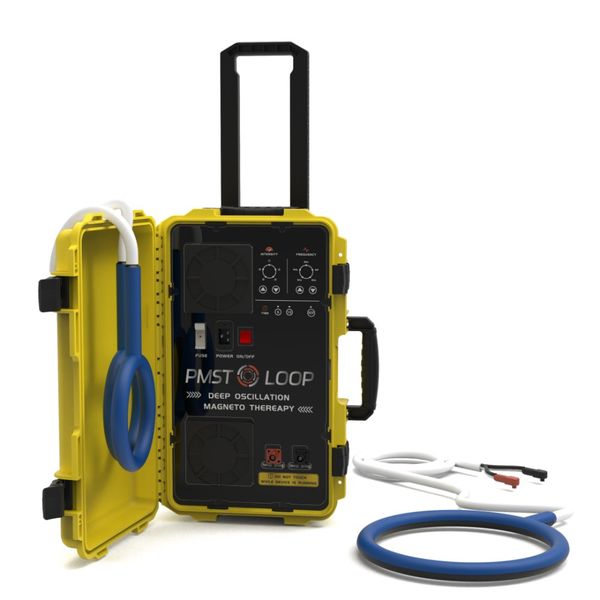 

6000gs pemf machines magnawave pmst loop with d60cm loop and butterfly loop