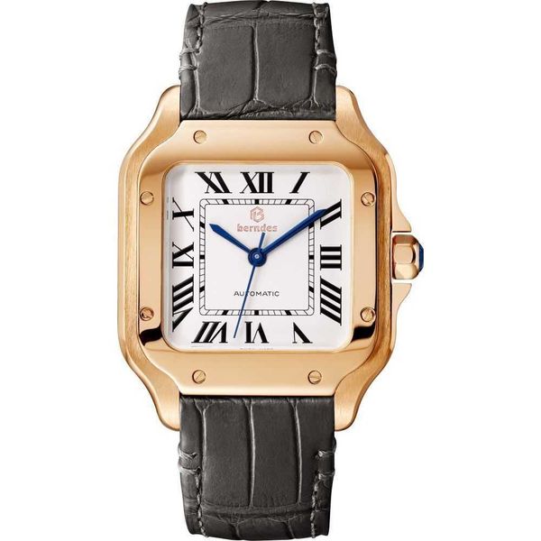 

designer elegance women wrist watch santos watches ub1q mechanical movement motre prx de luxe with box, Slivery;golden