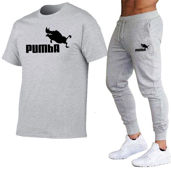 

men's tracksuits mens tracksuit cotton tshirts and sweatpants gym short sleeve outfits male casual oneck tees jogging suit 230801, Gray