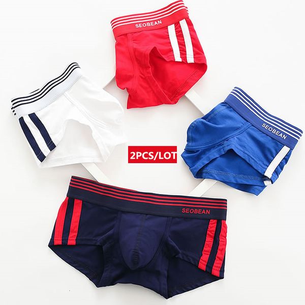 

underpants 2pcs lot male underwear breathable cotton boxer men panties u convex pouch low waist boxers shorts homme 230802, Black;white