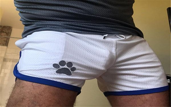 

summer men gym fitness shorts bodybuilding sports jogging shorts male cool breathable mesh casual men shorts sweatpants 2205079340691, White;black