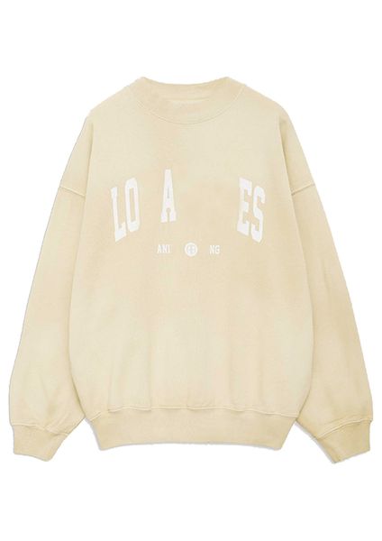 

23aw anines & bing women desginer fashion cotton hoodie sweatshirt new ab classic letter printing dyeing stir frying scratching sweater wome, Black