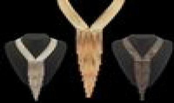 

boho women multilayers chain long necklaces 2017 fashion accessories rhinestones chain tassel necklaces & pendants2002882, Silver