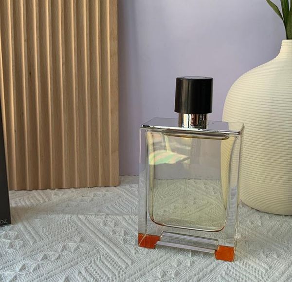 

perfume fragrance for men neutral terre edt 100ml spray long lasting cologne designer luxury perufmes fragrance fast ship7784928