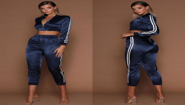 

wannathis 2019 autumn winter satin sets women zipper side stripe crop drawstring calf length pants workout tracksuits7661813, Gray
