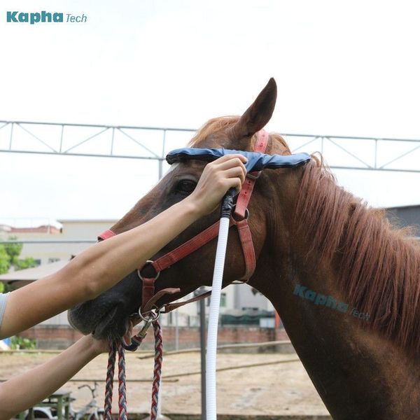 

pemf magnawave solution equine loop for pain reduction treatment machine