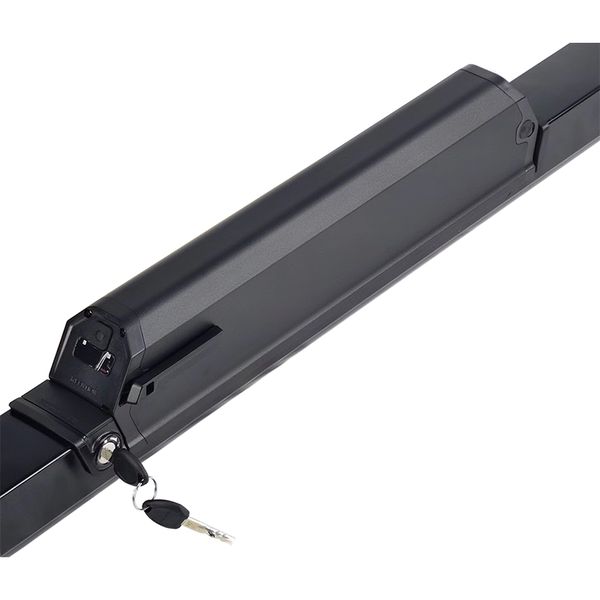 

36v 48v 17.5ah 13ah 21ah electric bicycle lithium battery e-bike akku reention dorado batterie pack