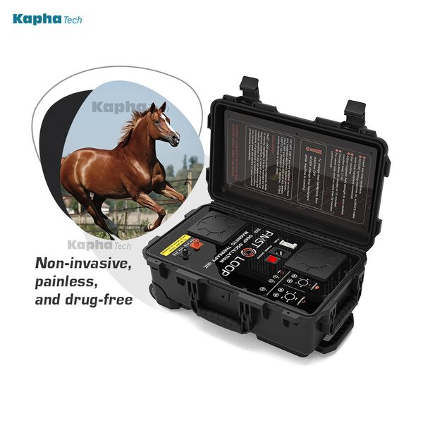 

equine pemf loop for horse injury prevention magna wave pain treatment machine