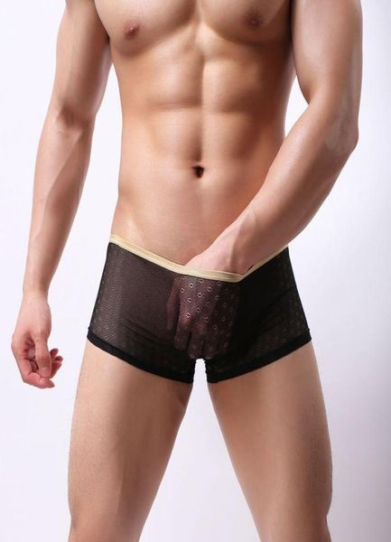 

underpants men transparent boxer underwear mesh mens boxers lace gauze boy shorts male low rise waist trunks7737645, Black;white