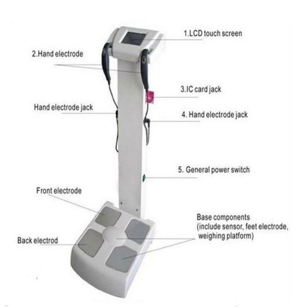 

fitness center use inbody human body composition analyze equipment263z3586202