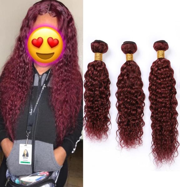 

wine red human hair bundles wet and wavy virgin hair extensions pure 99j burgundy red water wave brazilian human hair weave wefts 5289053, Black;brown