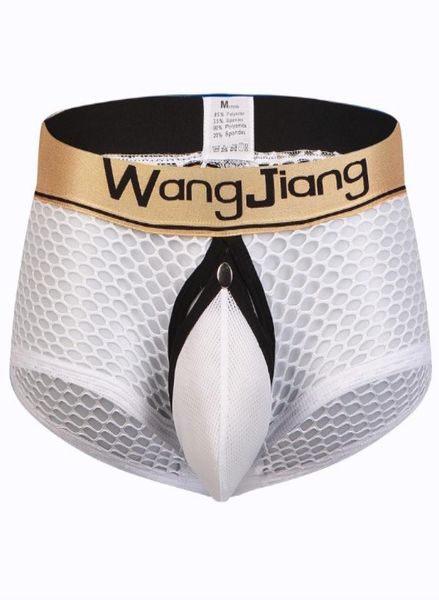 

2025pj whole super gay men039s underwear lingerie mesh holes transparent seethrough cutout boxers underpants pantie9212890, Black;white