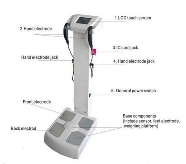 

fitness center use inbody human body composition analyze equipment263z7363566
