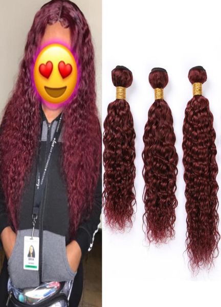 

wine red human hair bundles wet and wavy virgin hair extensions pure 99j burgundy red water wave brazilian human hair weave wefts 9563516, Black;brown