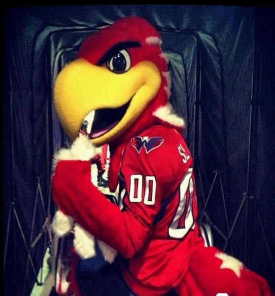 

custom red eagle mascot costume size fancy carnival costume 3230614, Red;yellow