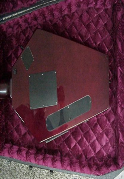 

custom flamed maple irregular shape electric guitar0124624790