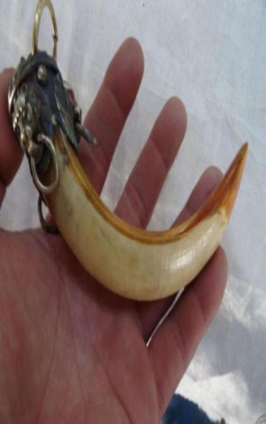 

lion a package boar tooth enamel antique town house to ward off bad luck88266758701436, Blue;slivery