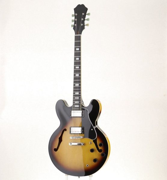 

ee dot 335 pro vs used electric guitar