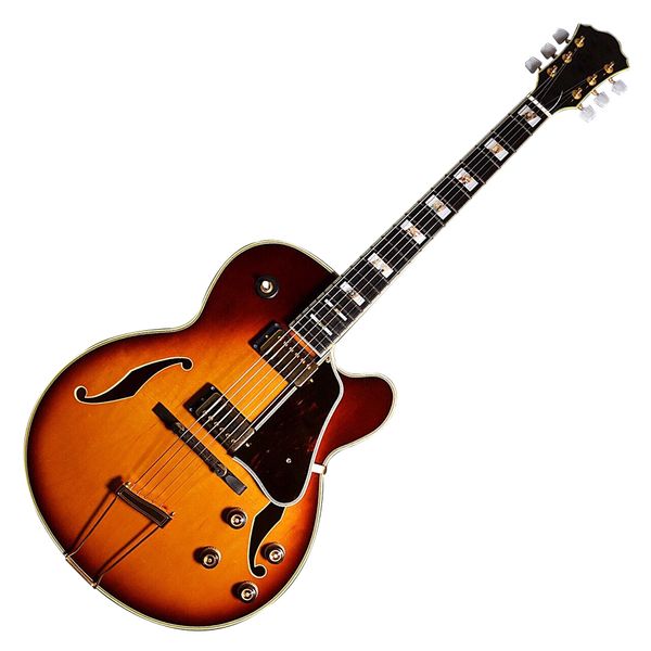 

af-180 electric guitar as same of the pictures