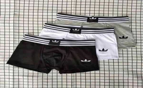 

designer luxury clover print hip hop mens underpants boxers for man underwear cueca boxer 3 pieces with box single piece can 5478399, Black;white