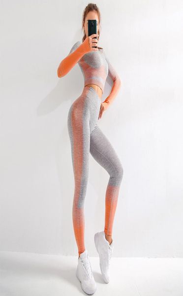 

women seamless yoga sets fitness sports suits gym wear long sleeve shirts high waist running leggings workout pants shirtszf2886130966, White;red