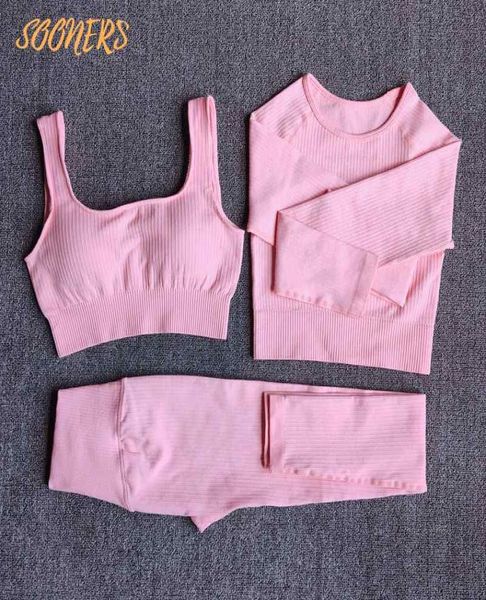 

sooners yoga outfit shaping seamless high waist legging fitness sports bras long sleeve crop 23pcs sportswear workout clothes4495102, White;red