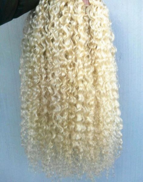 

brazilian human virgin remy curly hair weft natural curl weaves unprocessed blonde 613 double drawn extensions8753753, Black;brown