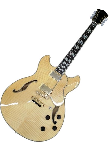 

as103-nt-12-01 electric guitar as same of the pictures
