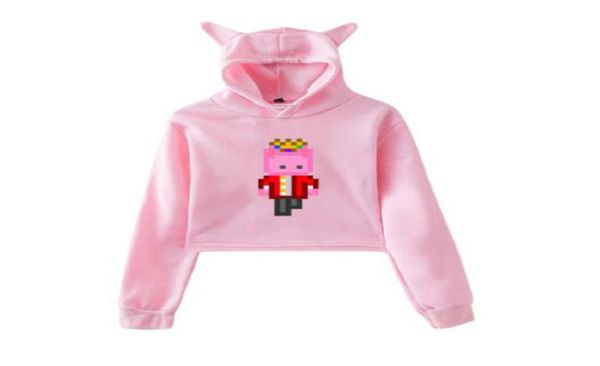

technoblade merch crop hoodie long sleeve women sweatshirt hooded 90s girl streetwear harajuku hoodie kpop hoody tracksuit8821946, Black
