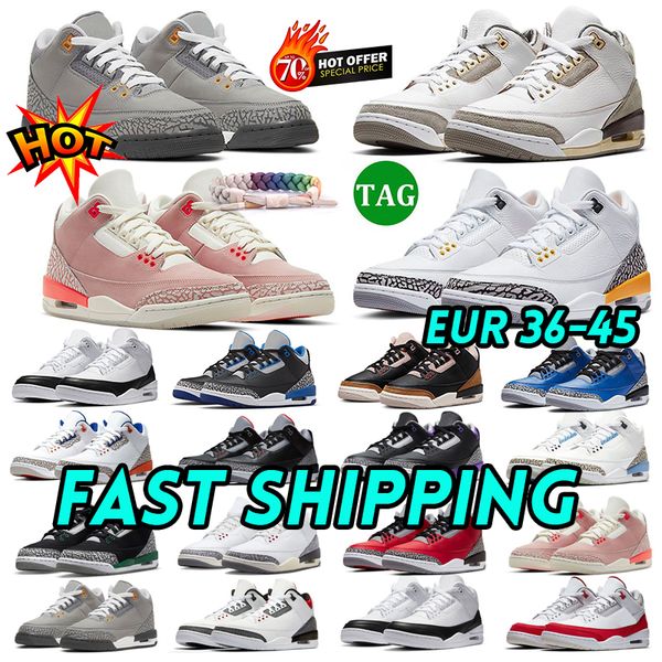 

jumpman 3 basketball shoe shoes 3s black cat cement cool grey neapolitan cardinal red pine green desert elephant racer blue pink woman mens