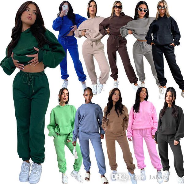

women sports tracksuits 2023 autumn and winter two piece set activewear solid color long sleeve hooded fleece hoodie and sweat pants 2pcs jo, Gray